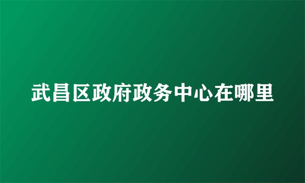 武昌区政府政务中心在哪里