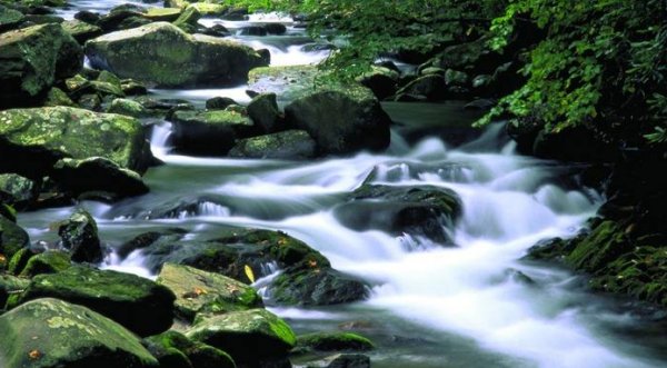 小溪淙淙流向河流河流潺潺流向大海仿写句子？