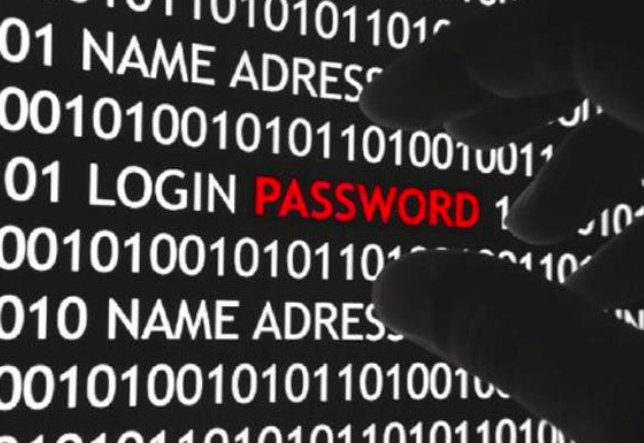 什么是计算机病毒，简述计算机病毒的特点