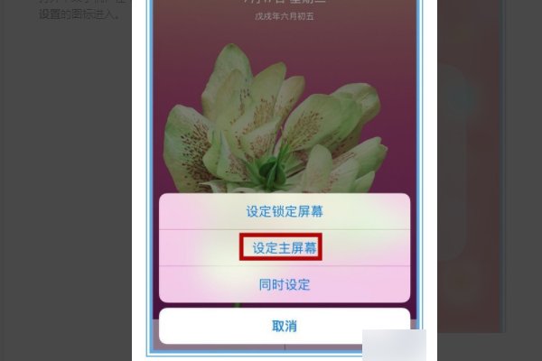 苹果手机主题怎么换啊？？？？？？、