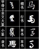 汉字的演变图片