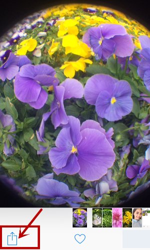 苹果手机照片相册怎样设置密码啊？？？