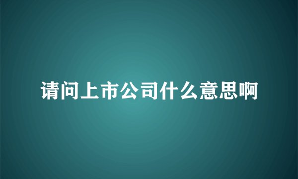 请问上市公司什么意思啊
