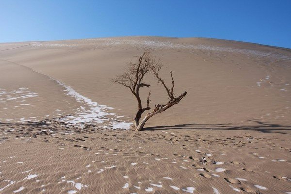 印度河平原为什么全是沙漠？