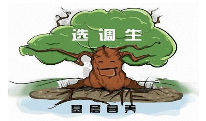 弱弱问一下 定向选调生和普通选调生有什么区别么