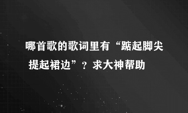 哪首歌的歌词里有“踮起脚尖 提起裙边”？求大神帮助