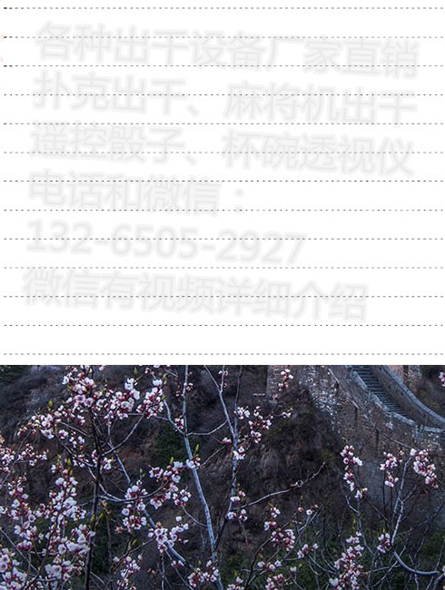 宾王扑克背面怎么认牌？？