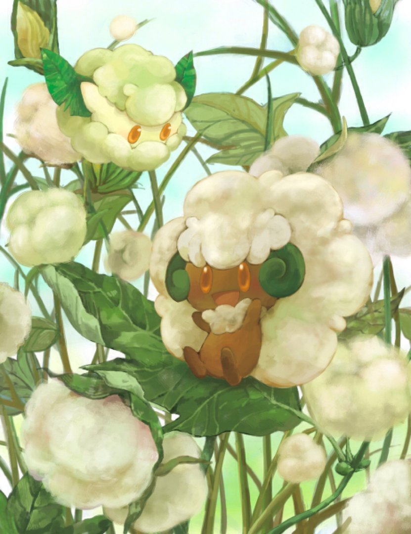 木棉球的进化链