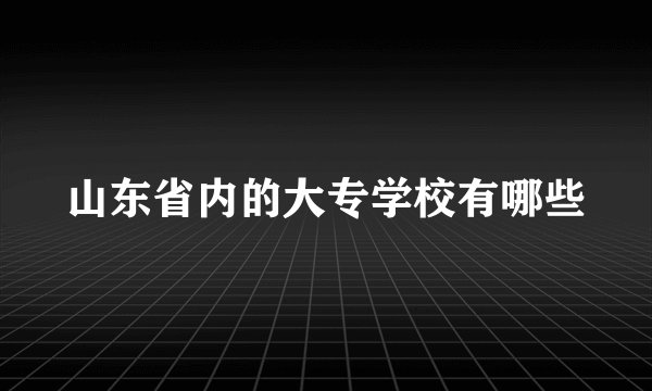 山东省内的大专学校有哪些