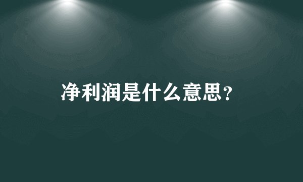 净利润是什么意思？