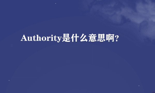 Authority是什么意思啊？