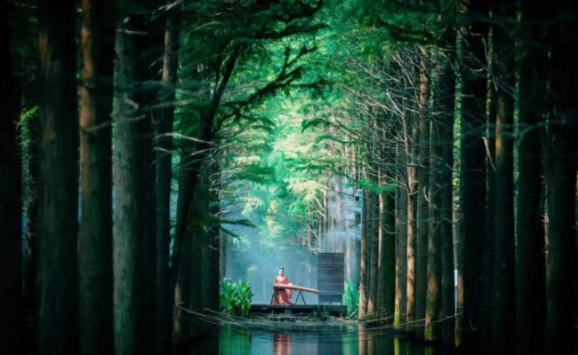 谁知道湖北仙桃梦里水乡门票多少钱？