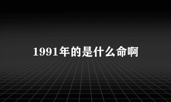 1991年的是什么命啊