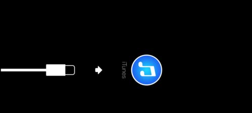 苹果4密码忘记了 搞的停用了 id密码也不记得 怎么办 怎么解锁