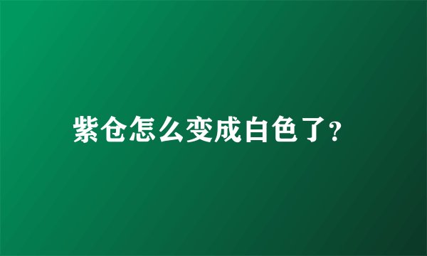 紫仓怎么变成白色了？
