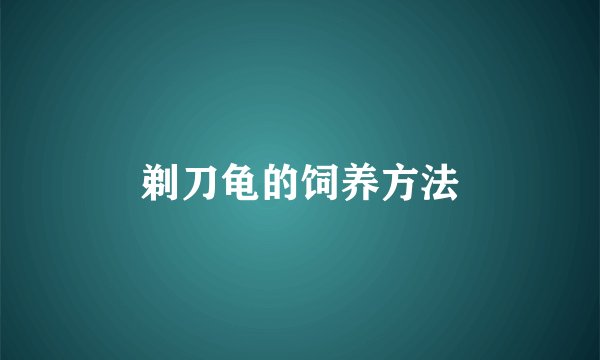 剃刀龟的饲养方法
