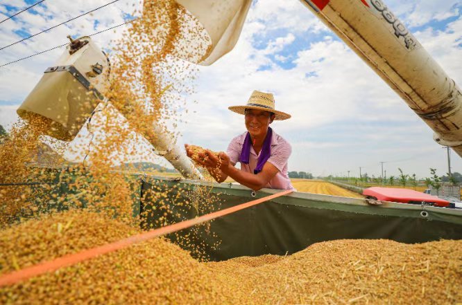 农业税是哪一年取消的? 农民粮食直补是从哪一年开始发放的?