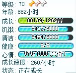 为什么我的QQ宠物不见了，昨天还好好的，今天突然发现没有了！！都已经32级了啊，不舍得就这样没了，