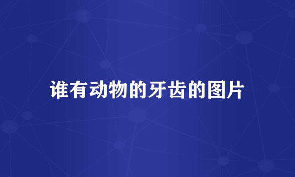 谁有动物的牙齿的图片