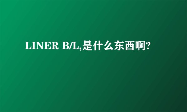 LINER B/L,是什么东西啊?
