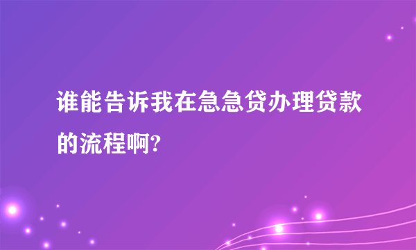 谁能告诉我在急急贷办理贷款的流程啊?