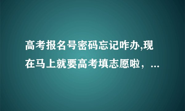 高考报名号密码忘记咋办,现在马上就要高考填志愿啦，怎么办啊