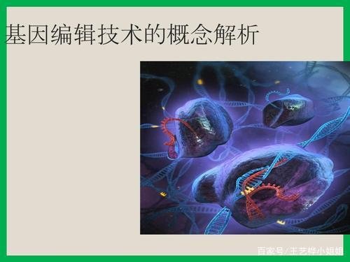 基因编辑技术是什么？它是如何在医学领域应用的？