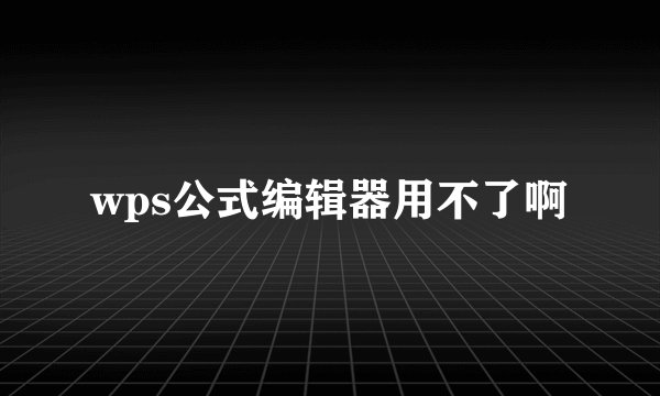 wps公式编辑器用不了啊