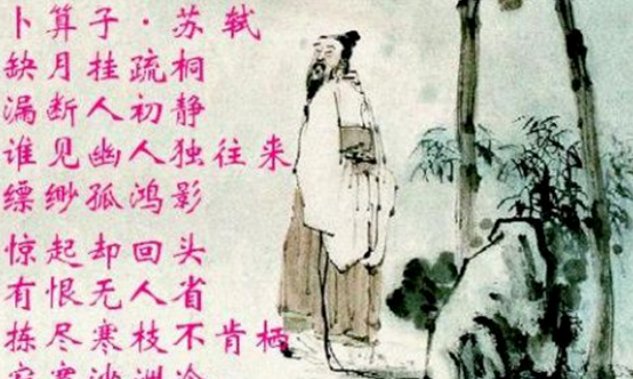 拣尽寒枝不肯栖 什么意思