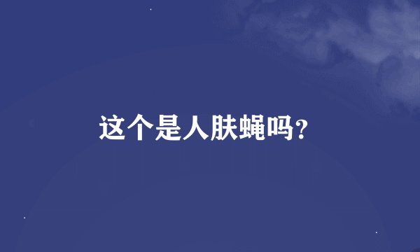 这个是人肤蝇吗？