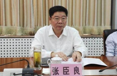 邯郸市副市长张臣良判多少年？