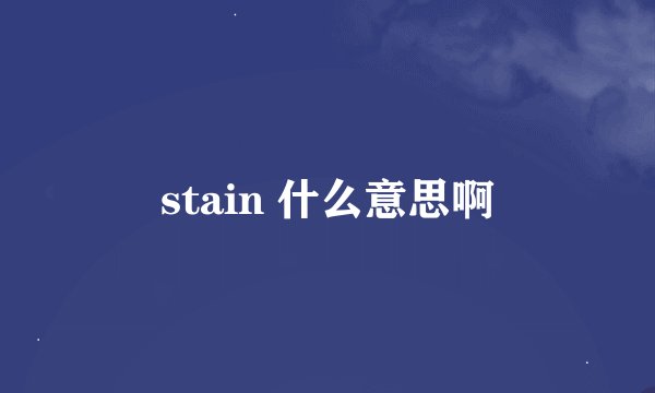 stain 什么意思啊