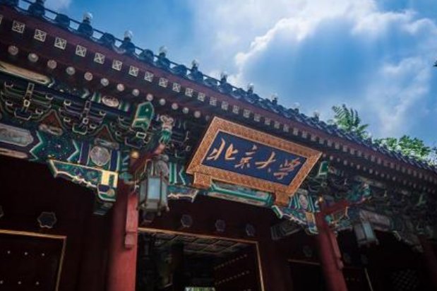 北大国际关系学院和北大什么关系