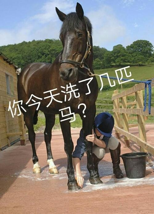 太子洗马究竟是个什么官，有怎样的历史地位？