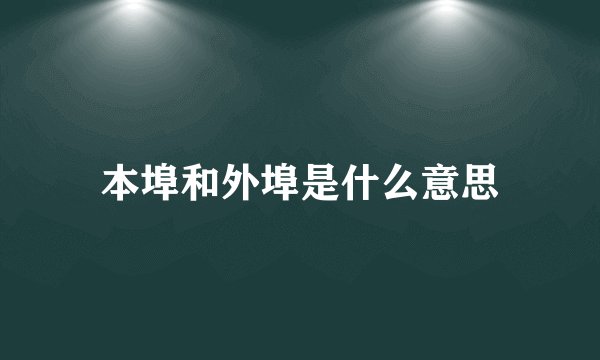本埠和外埠是什么意思