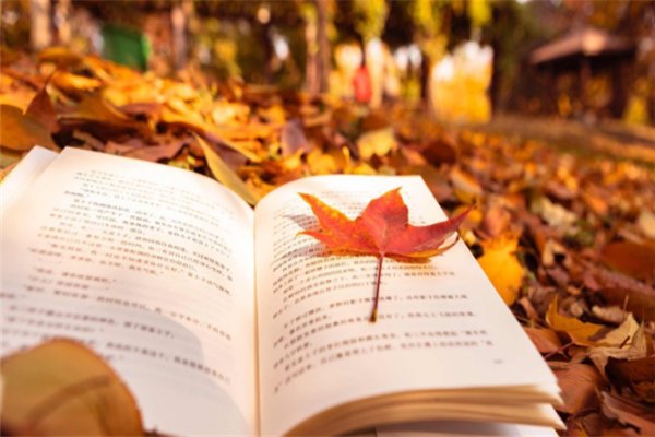 算命先生说的“命犯七煞”是什么意思