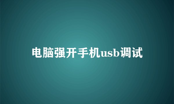 电脑强开手机usb调试