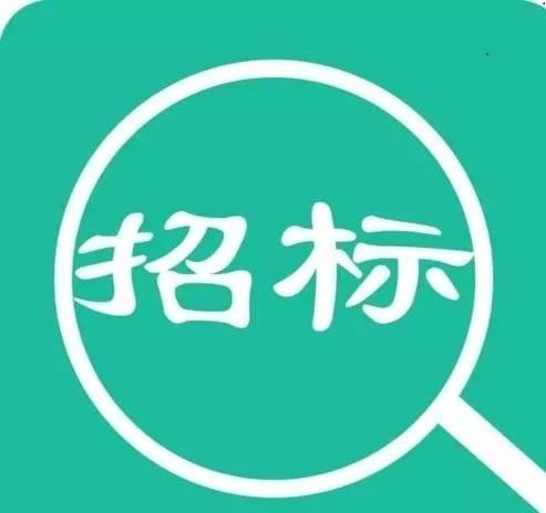 一般政府招标信息在哪里查看？