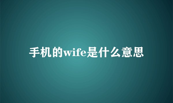 手机的wife是什么意思