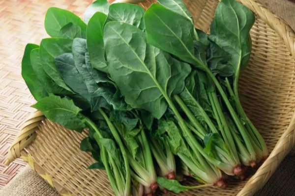 明目的食物是哪些？