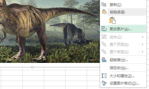 EXCEL插入图片后可不可以固定在单元格内