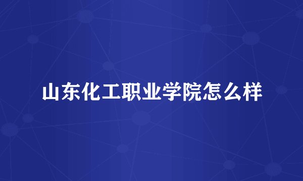 山东化工职业学院怎么样