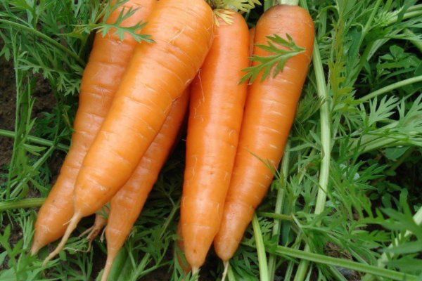 明目的食物是哪些？