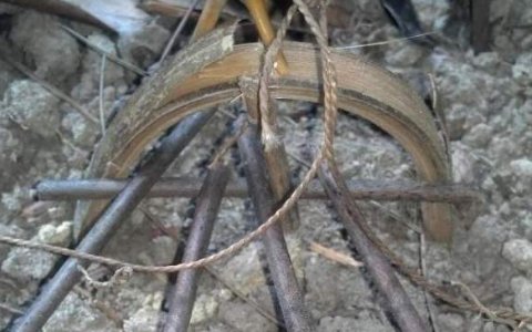 抓竹鸡布套阵型图片