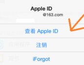 苹果系统的apple store怎么改成中国商店？