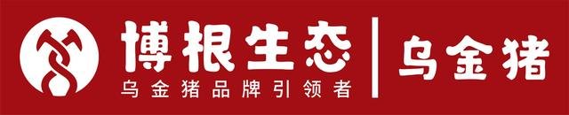 乌金猪与藏香猪区别