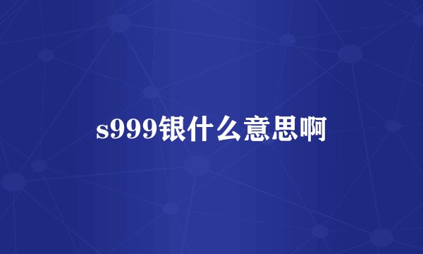 s999银什么意思啊