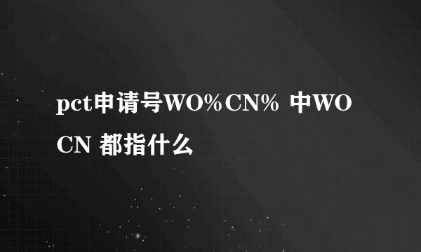 pct申请号WO%CN% 中WO CN 都指什么