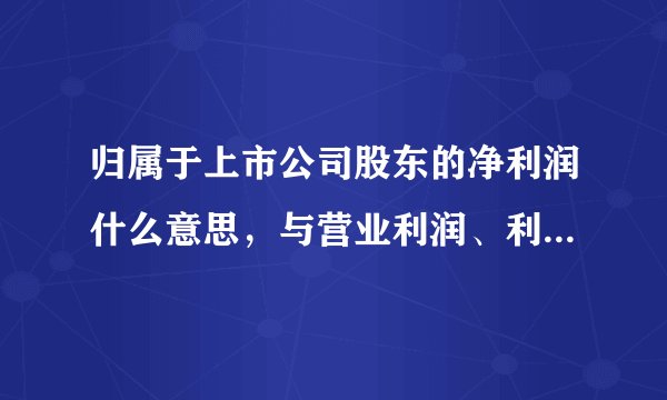 归属于上市公司股东的净利润什么意思，与营业利润、利润总额什么区别啊？