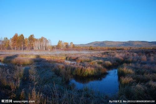 复仇者联盟3迅雷下载